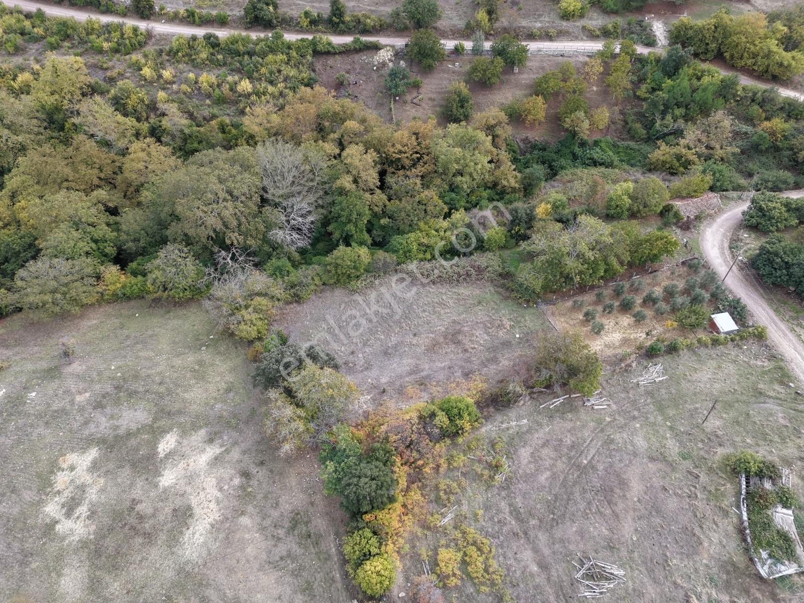 Yiğit Gayrimenkul'den İğdelikte Satılık 2.161 M2 Tarla — fotoğraf 21