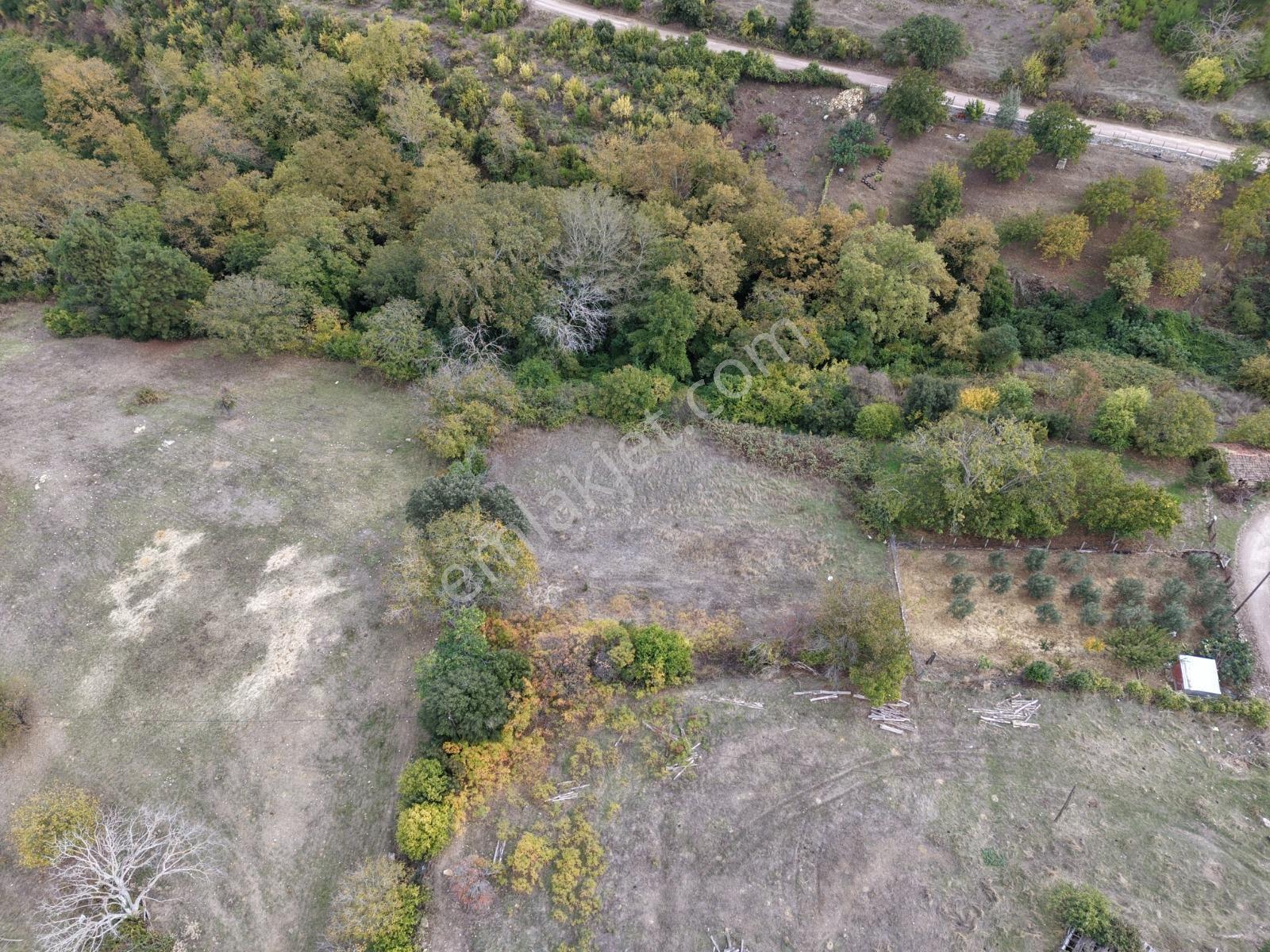 Yiğit Gayrimenkul'den İğdelikte Satılık 2.161 M2 Tarla — fotoğraf 23