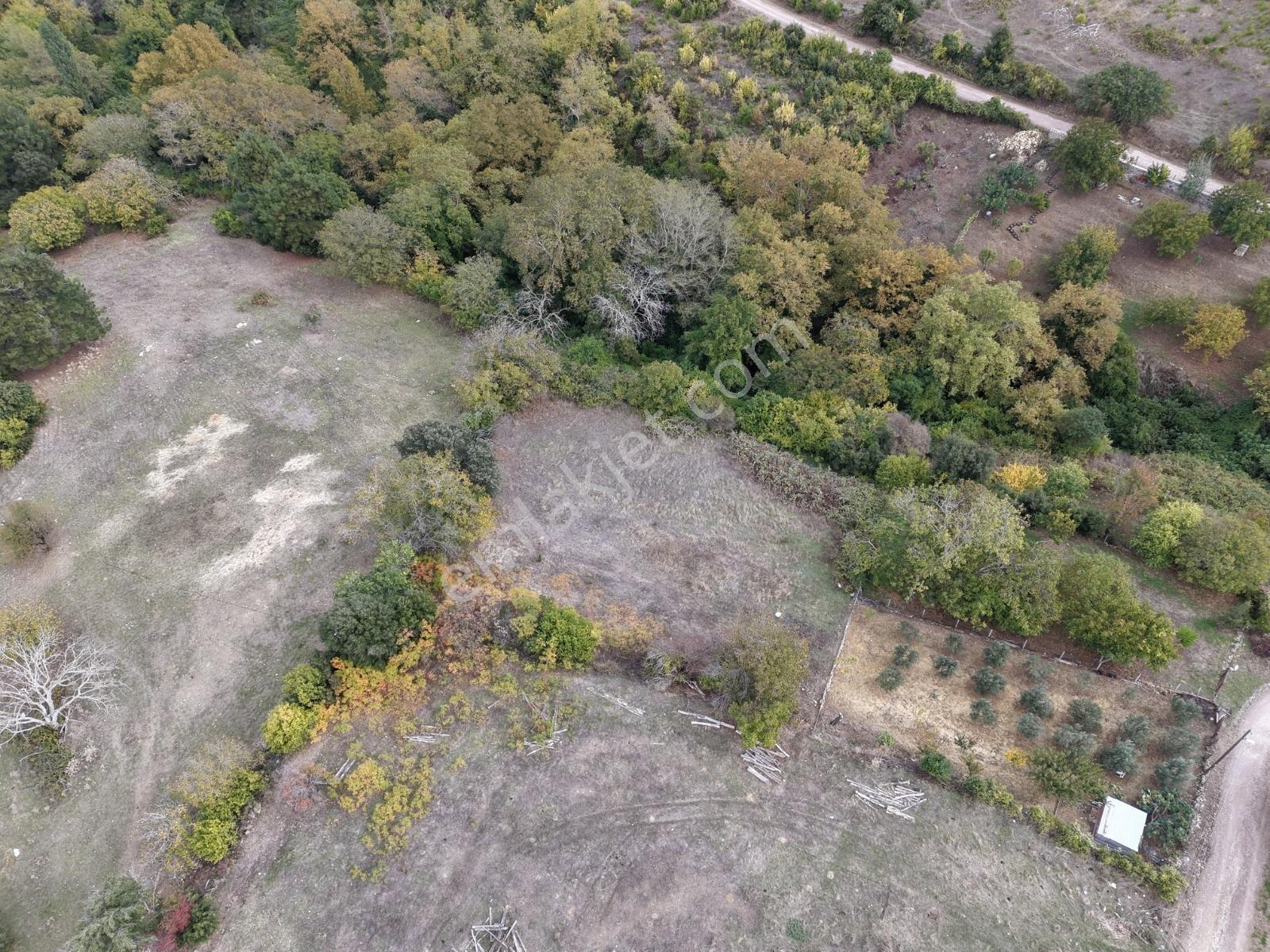 Yiğit Gayrimenkul'den İğdelikte Satılık 2.161 M2 Tarla — fotoğraf 24