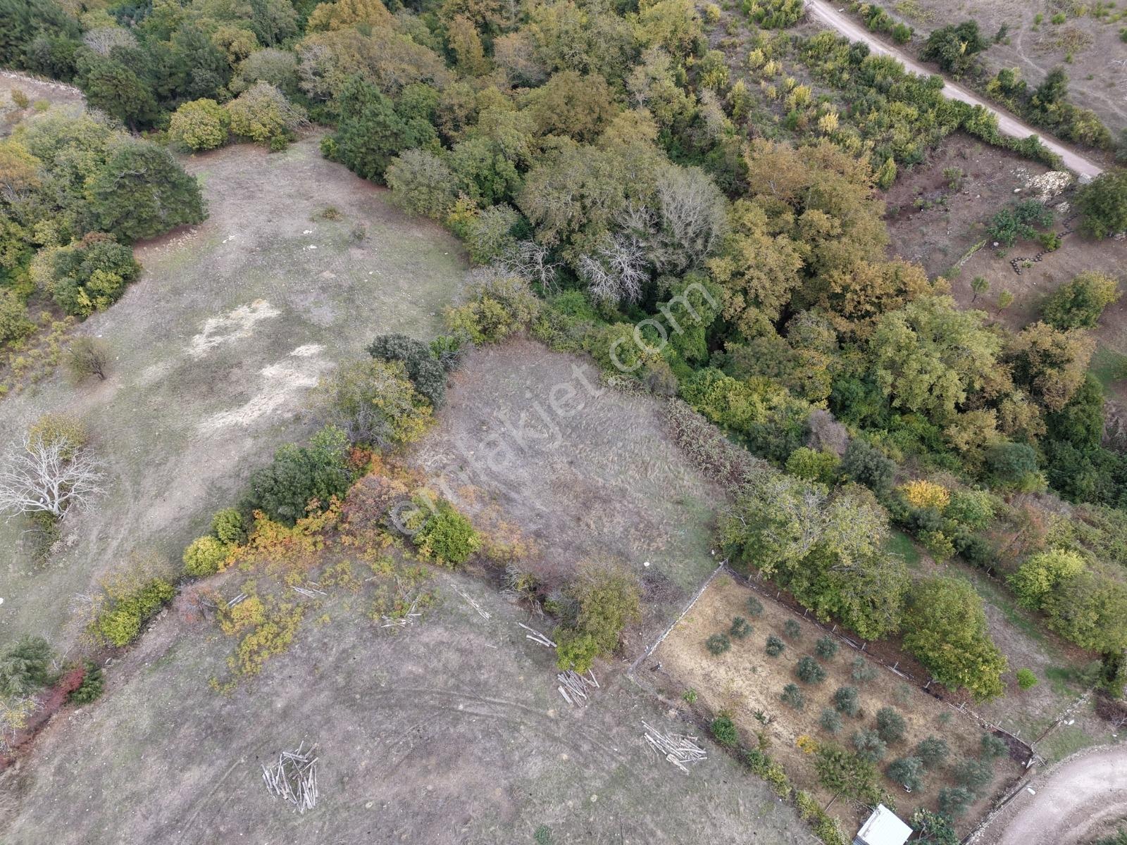 Yiğit Gayrimenkul'den İğdelikte Satılık 2.161 M2 Tarla — fotoğraf 25