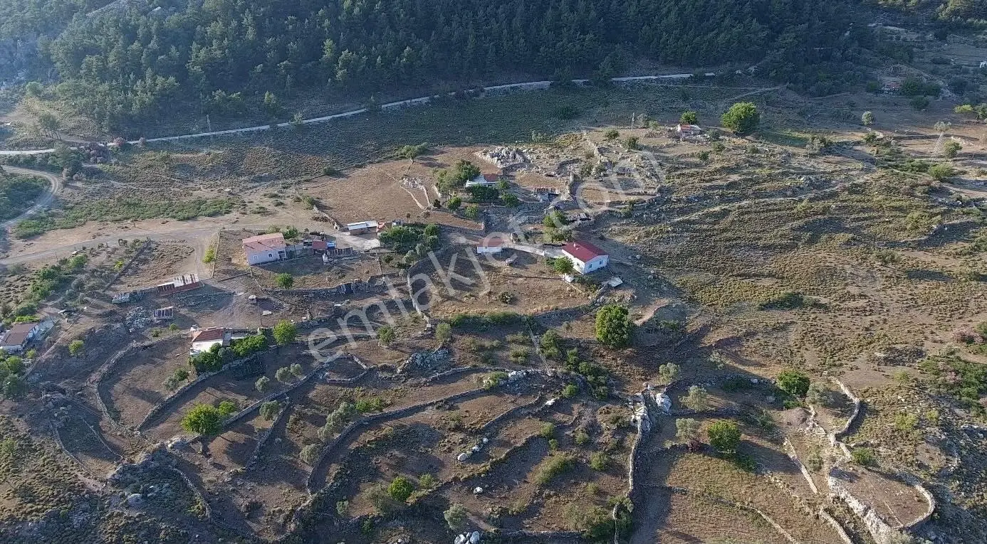 54 Marmarıs Osmanıyede Satılık 2060 M² Tarla