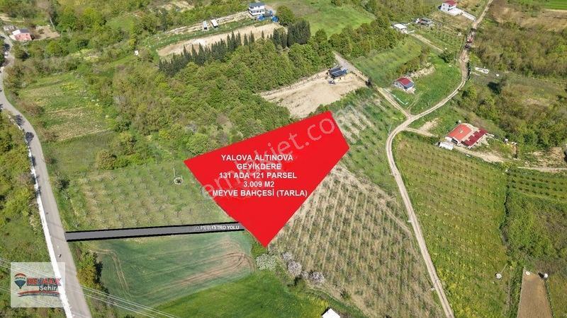 Remax Yalova'Dan Altınova Geyikdere Köyü Satılık Meyve Bahçesi
