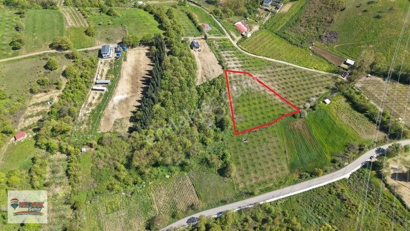 Remax Yalova'dan Altınova Geyikdere Köyü Satılık Meyve Bahçesi — fotoğraf 3