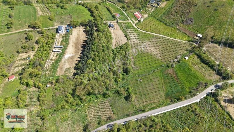 Remax Yalova'dan Altınova Geyikdere Köyü Satılık Meyve Bahçesi — fotoğraf 4