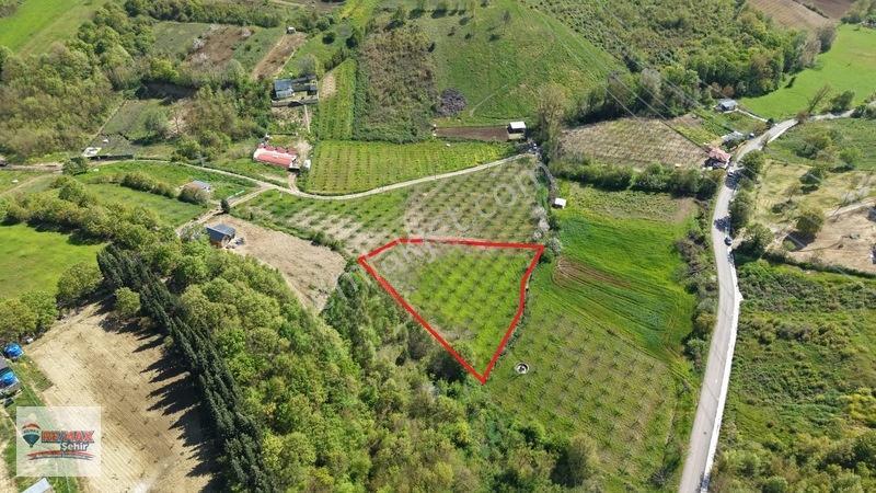 Remax Yalova'dan Altınova Geyikdere Köyü Satılık Meyve Bahçesi — fotoğraf 7