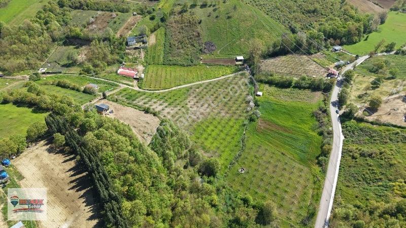 Remax Yalova'dan Altınova Geyikdere Köyü Satılık Meyve Bahçesi — fotoğraf 8