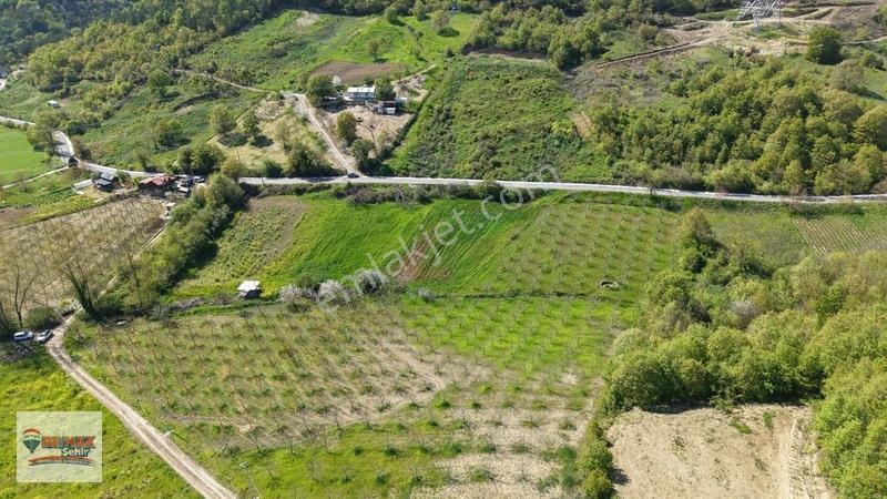 Remax Yalova'dan Altınova Geyikdere Köyü Satılık Meyve Bahçesi — fotoğraf 9