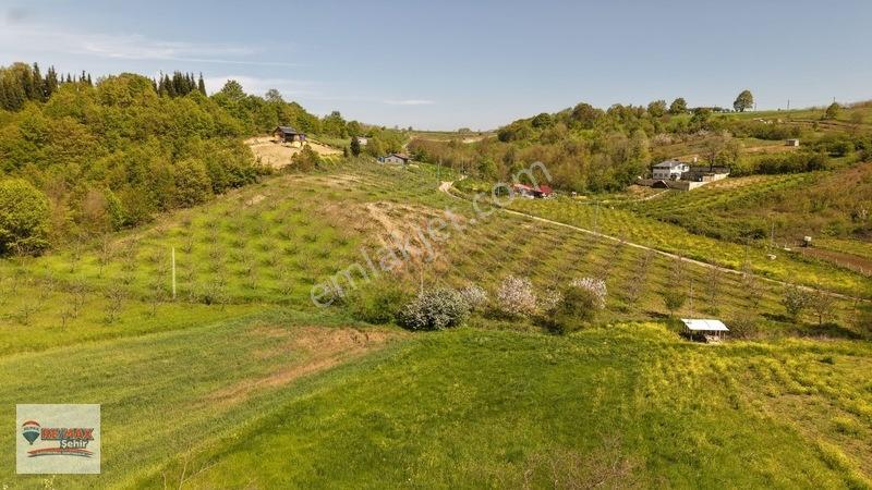 Remax Yalova'dan Altınova Geyikdere Köyü Satılık Meyve Bahçesi — fotoğraf 10