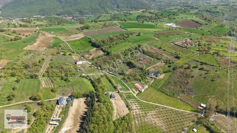 Remax Yalova'dan Altınova Geyikdere Köyü Satılık Meyve Bahçesi — fotoğraf 11