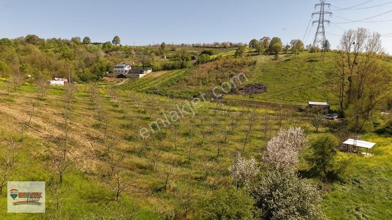 Remax Yalova'dan Altınova Geyikdere Köyü Satılık Meyve Bahçesi — fotoğraf 12