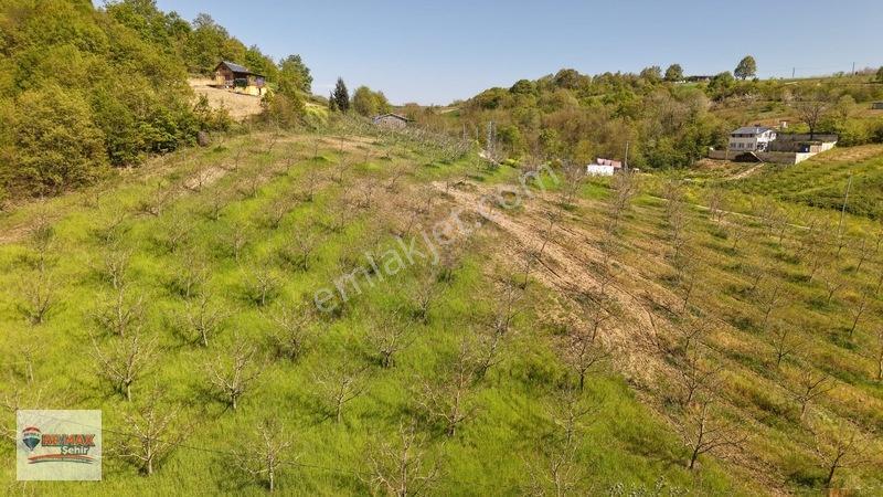 Remax Yalova'dan Altınova Geyikdere Köyü Satılık Meyve Bahçesi — fotoğraf 13