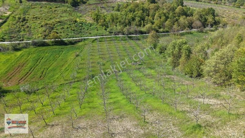 Remax Yalova'dan Altınova Geyikdere Köyü Satılık Meyve Bahçesi — fotoğraf 14