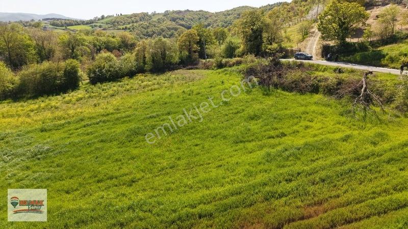 Remax Yalova'dan Altınova Geyikdere Köyü Satılık Meyve Bahçesi — fotoğraf 15