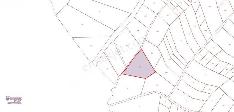 Remax Yalova'dan Altınova Geyikdere Köyü Satılık Meyve Bahçesi — fotoğraf 21