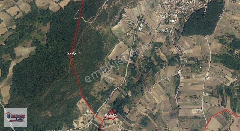 Remax Yalova'dan Altınova Geyikdere Köyü Satılık Meyve Bahçesi — fotoğraf 22