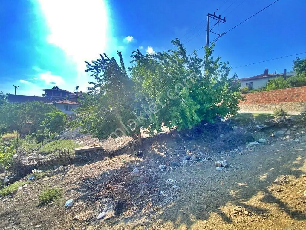 Uytun Gayrimenkul'den Havran Kalabak Köyünde %40 İmarlı Arsa — fotoğraf 3