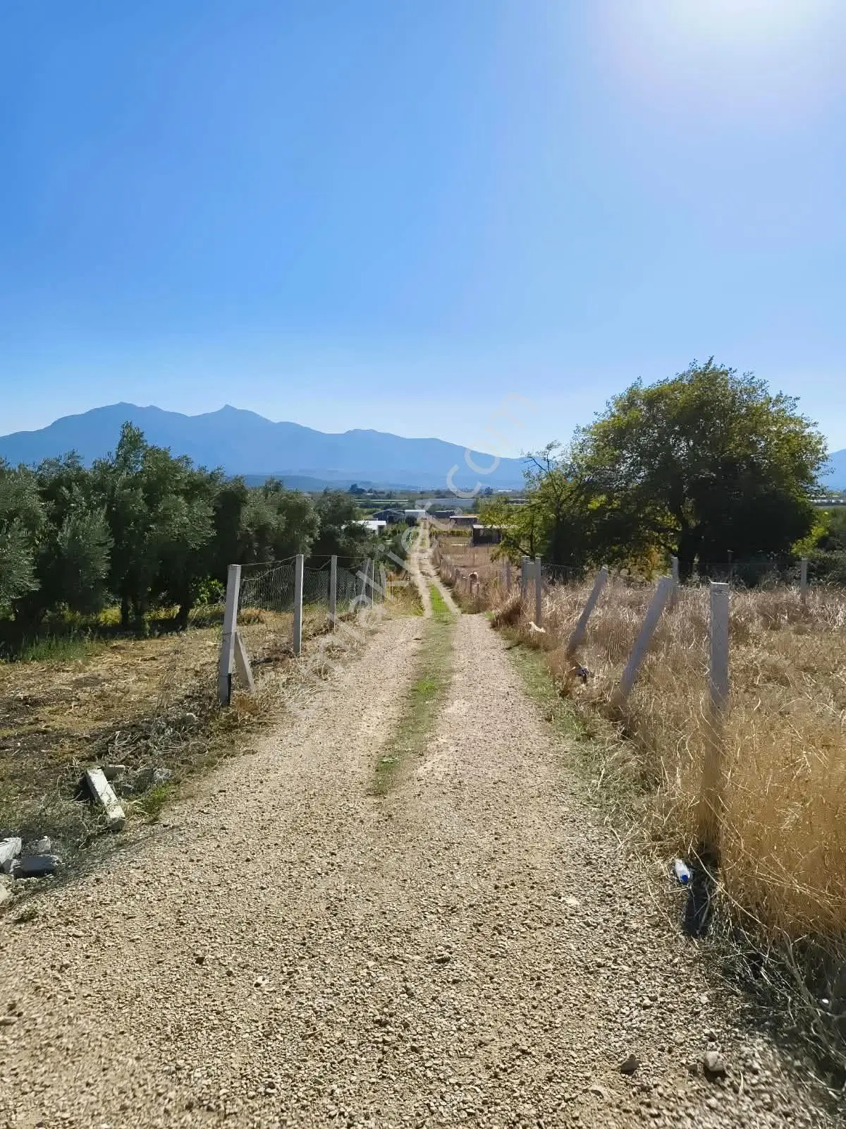 İzmir / Kemalpaşa / Akalan Mahallesinde 143 Ada – 172 Parsel 315 M² Paylı Mülkiyetli Arazi — fotoğraf 2