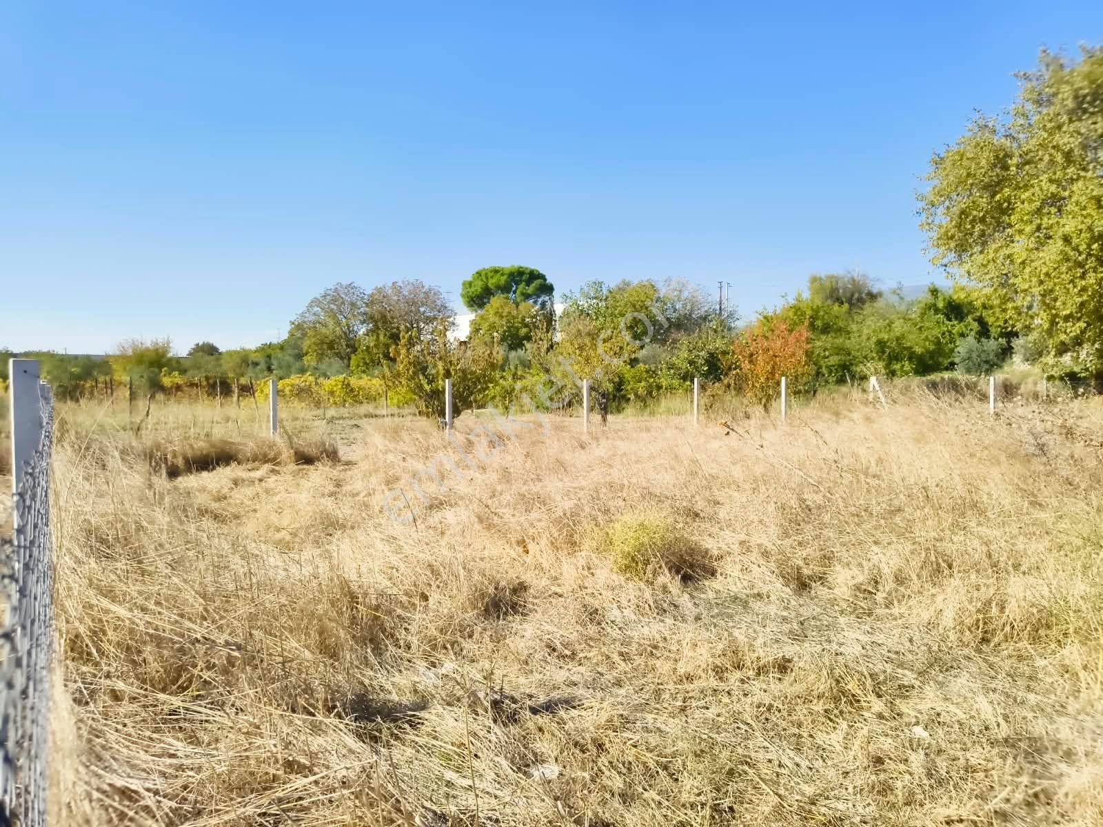 İzmir / Kemalpaşa / Akalan Mahallesinde 143 Ada – 172 Parsel 315 M² Paylı Mülkiyetli Arazi — fotoğraf 7