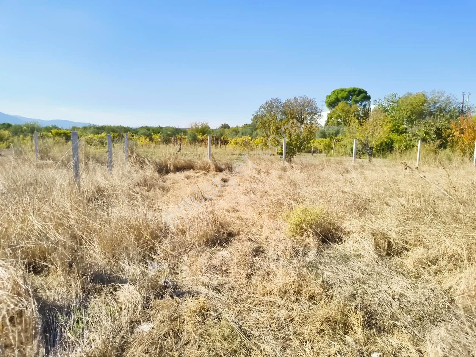 İzmir / Kemalpaşa / Akalan Mahallesinde 143 Ada – 172 Parsel 315 M² Paylı Mülkiyetli Arazi — fotoğraf 12