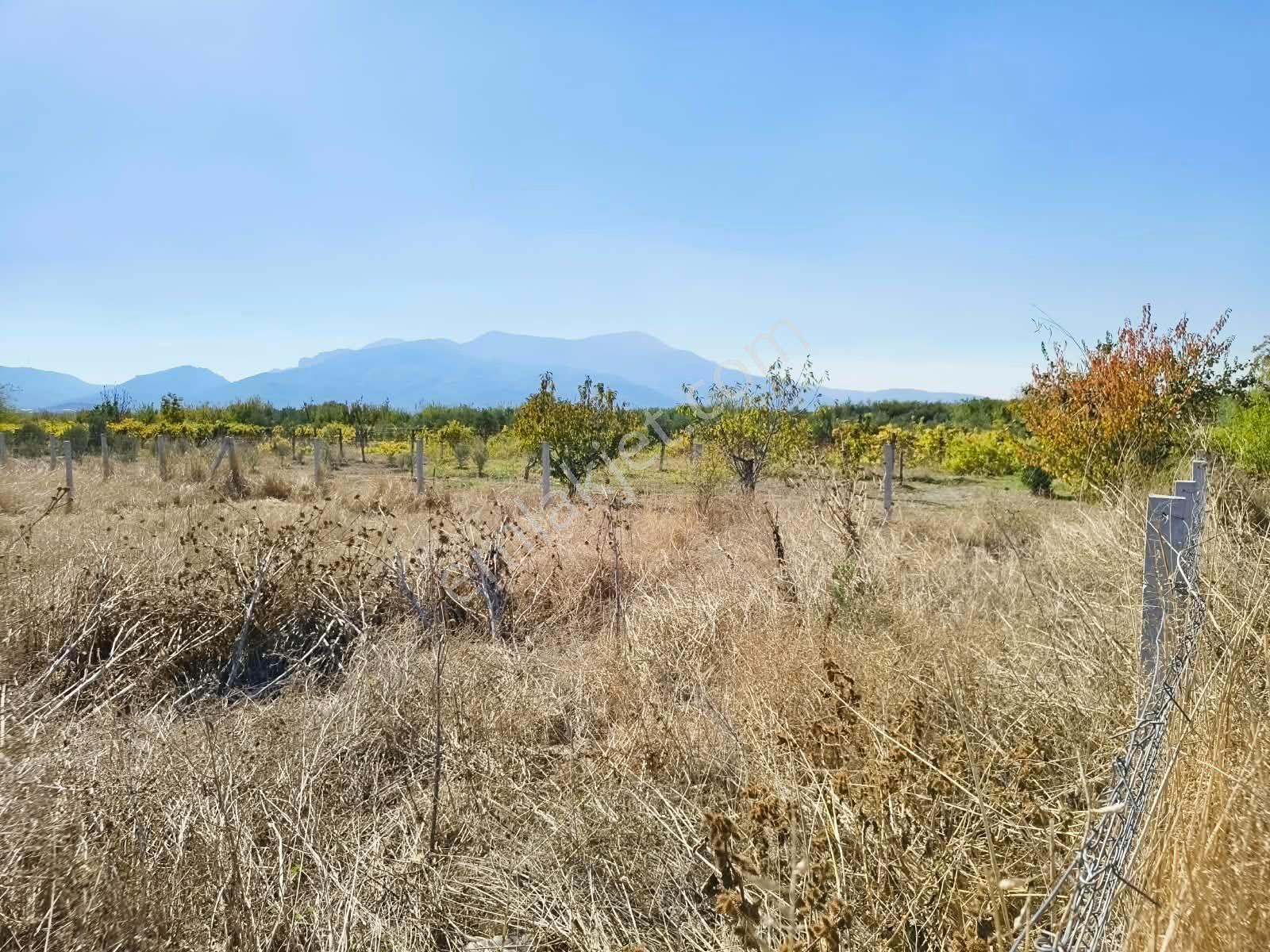 İzmir / Kemalpaşa / Akalan Mahallesinde 143 Ada – 172 Parsel 315 M² Paylı Mülkiyetli Arazi — fotoğraf 13
