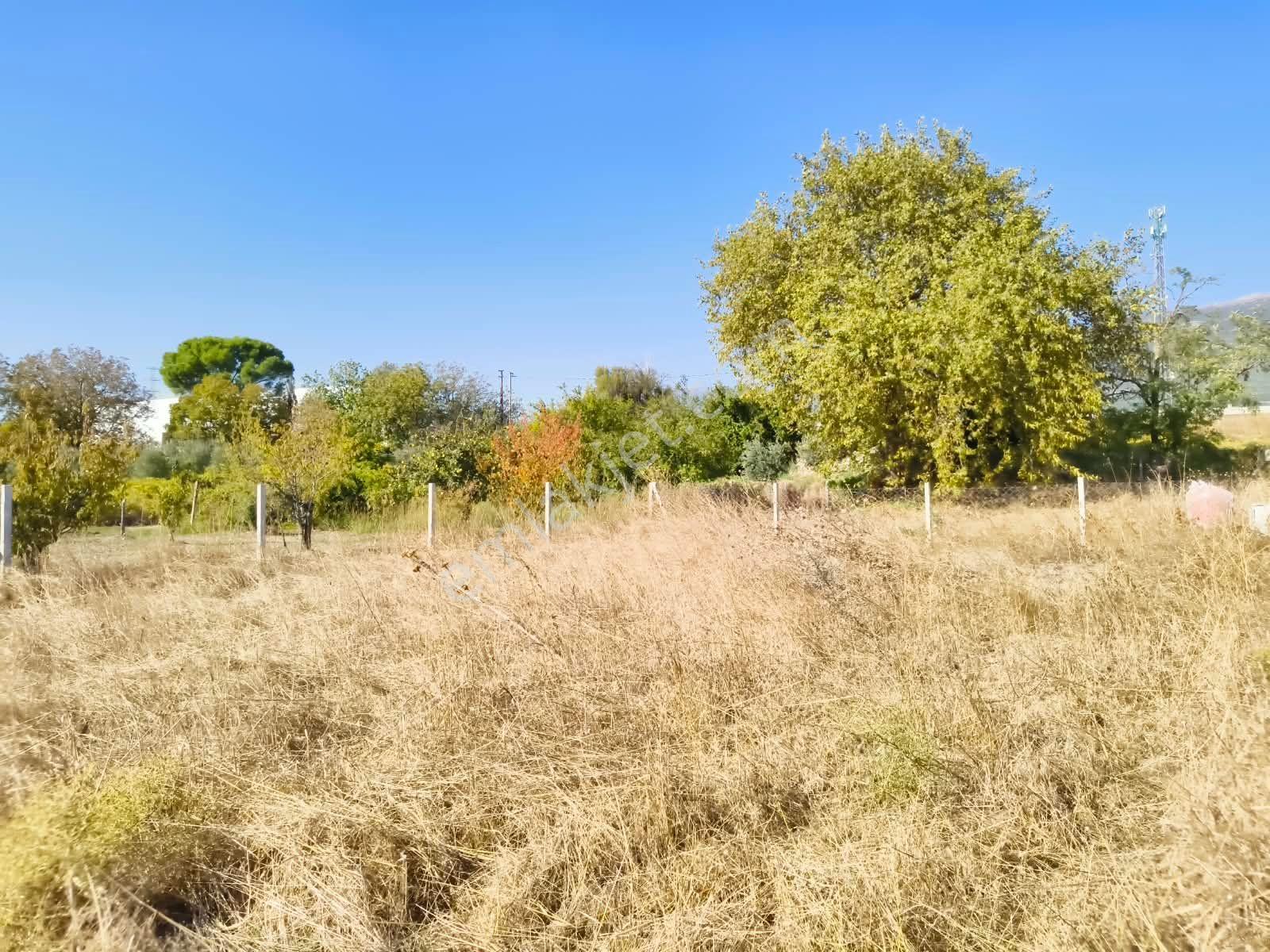 İzmir / Kemalpaşa / Akalan Mahallesinde 143 Ada – 172 Parsel 315 M² Paylı Mülkiyetli Arazi — fotoğraf 14