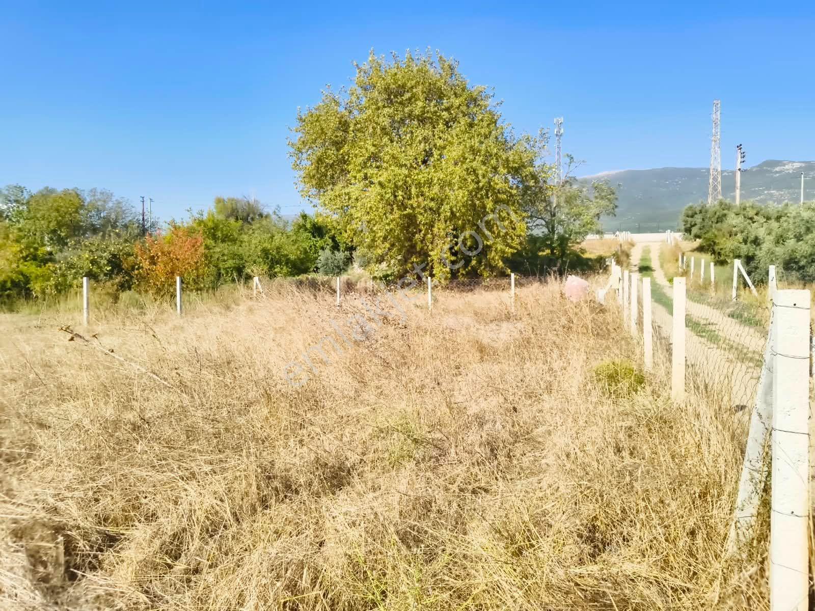 İzmir / Kemalpaşa / Akalan Mahallesinde 143 Ada – 172 Parsel 315 M² Paylı Mülkiyetli Arazi — fotoğraf 15