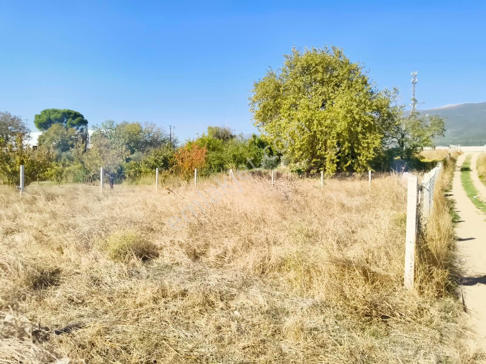 İzmir / Kemalpaşa / Akalan Mahallesinde 143 Ada – 172 Parsel 315 M² Paylı Mülkiyetli Arazi — fotoğraf 16