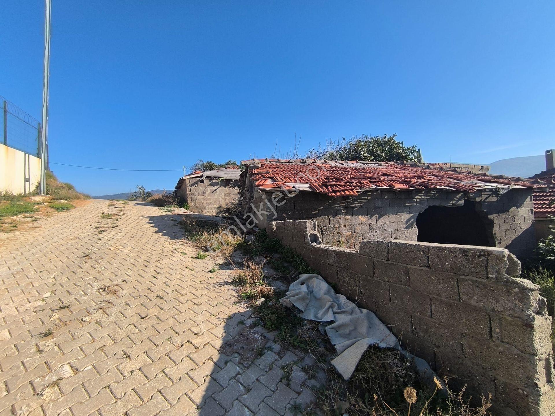 Balıkesir Bandırma Sahil Yenice Mah. 456 M2 İçinde Köy Evi Ve Arsası Deniz Manzaralı — fotoğraf 7