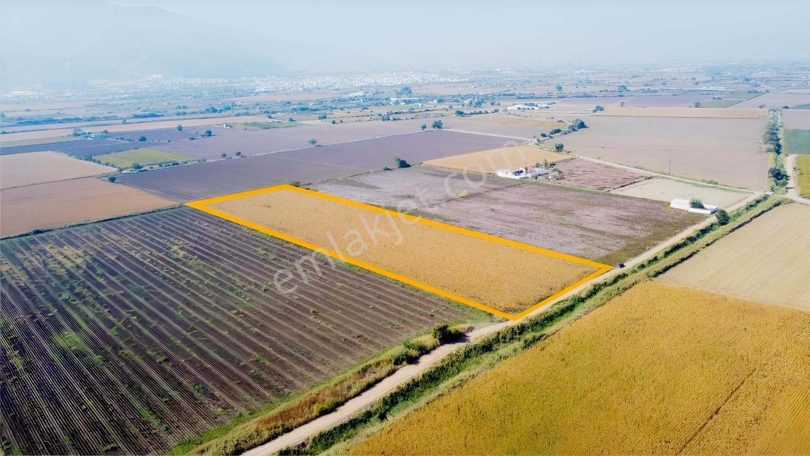 Özgün Gm'Den - Yeni Harmandalı - 28.150 M² Satılık Tarla