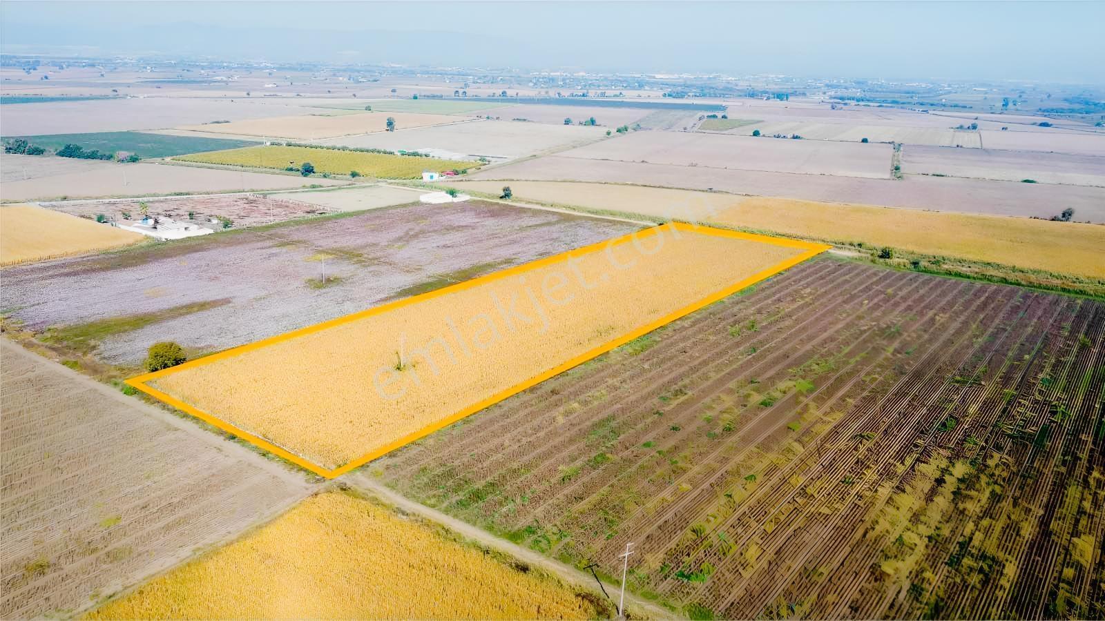 Özgün Gm'den - Yeni Harmandalı - 28.150 M² Satılık Tarla — fotoğraf 3