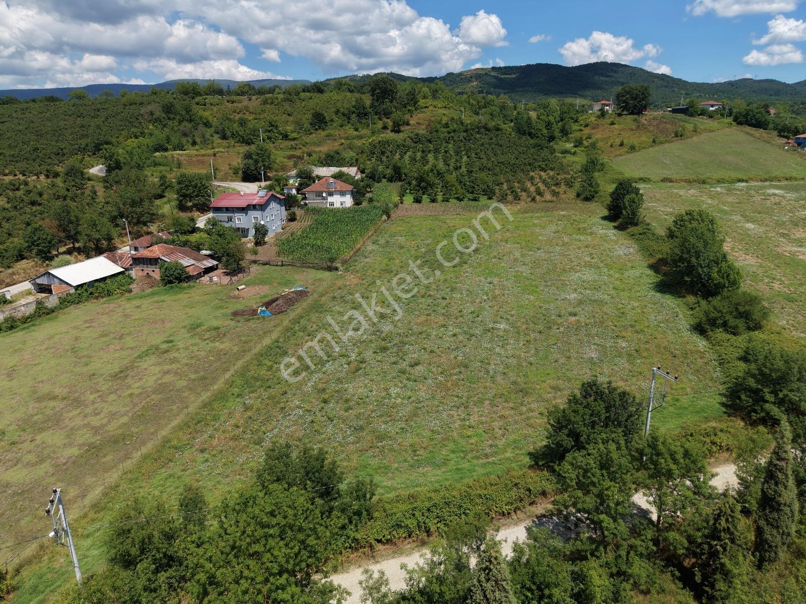 Emlakevim - Yeşilvadi Mah. De Satılık 2450 M2 İmarlı Arsa !! — fotoğraf 2