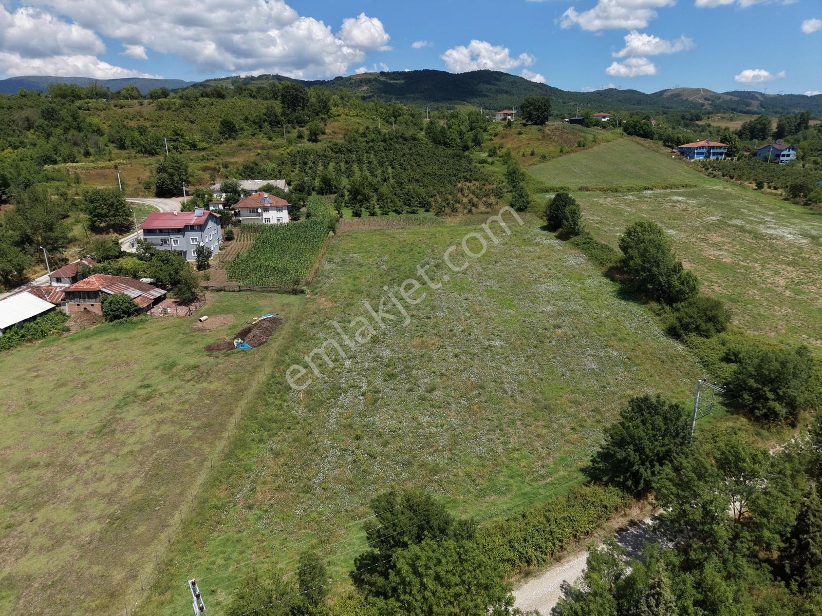 Emlakevim - Yeşilvadi Mah. De Satılık 2450 M2 İmarlı Arsa !! — fotoğraf 3