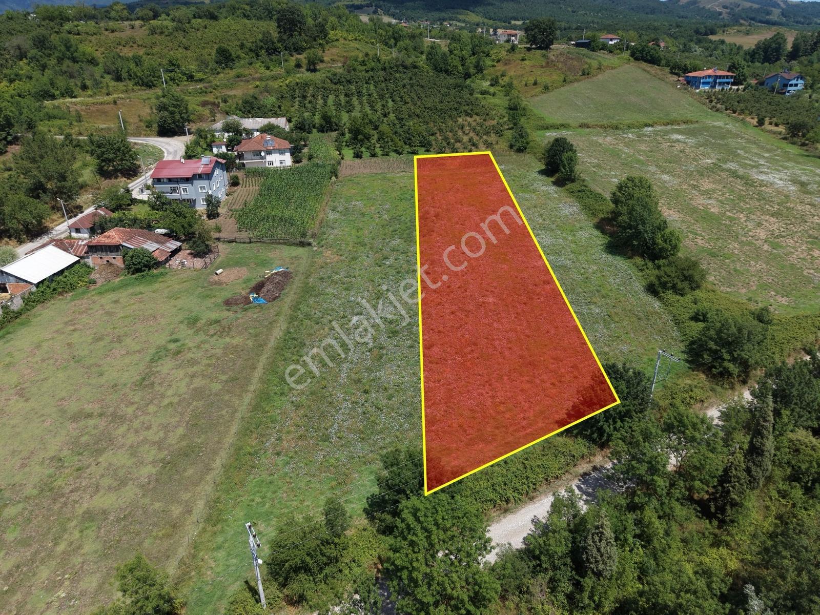 Emlakevim - Yeşilvadi Mah. De Satılık 2450 M2 İmarlı Arsa !! — fotoğraf 4