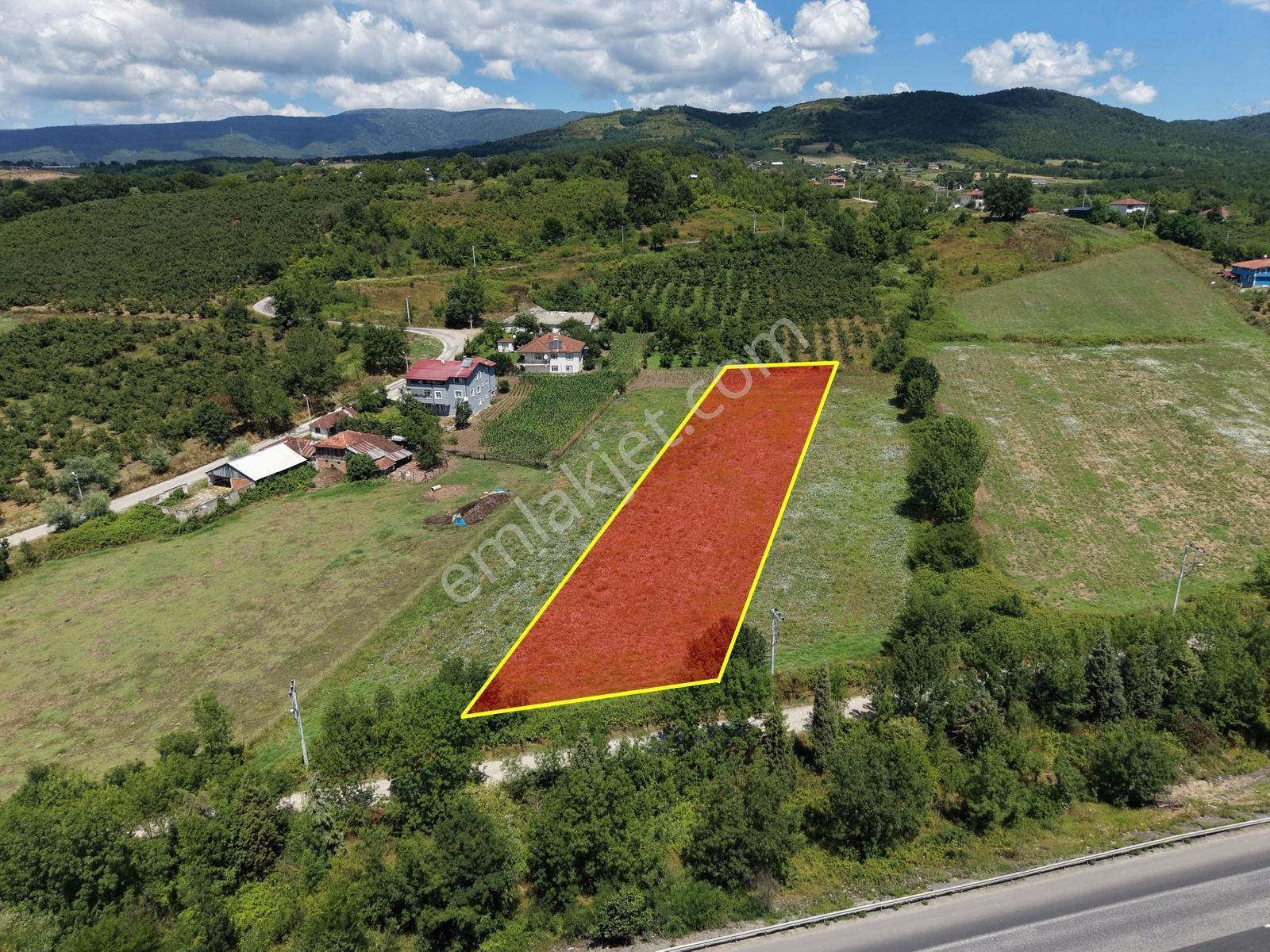 Emlakevim - Yeşilvadi Mah. De Satılık 2450 M2 İmarlı Arsa !! — fotoğraf 7