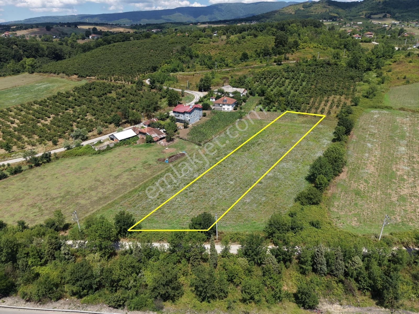 Emlakevim - Yeşilvadi Mah. De Satılık 2450 M2 İmarlı Arsa !! — fotoğraf 8
