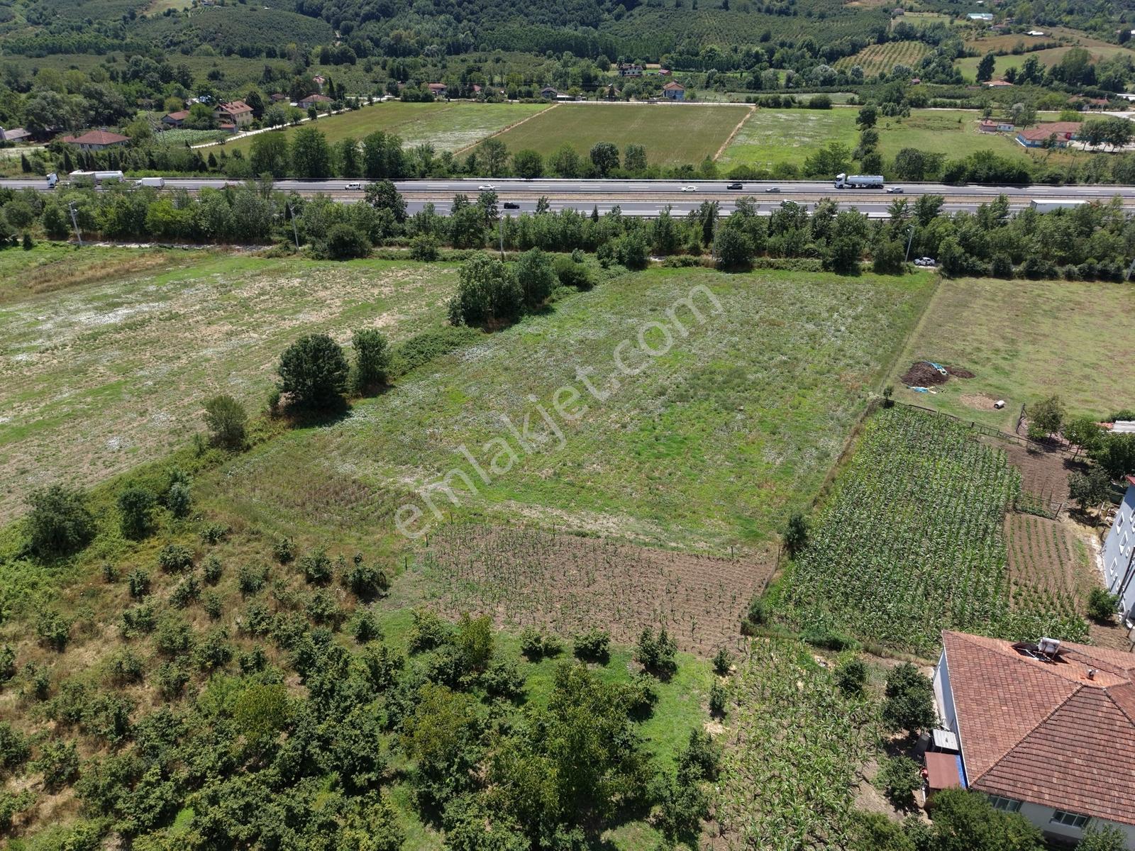 Emlakevim - Yeşilvadi Mah. De Satılık 2450 M2 İmarlı Arsa !! — fotoğraf 18