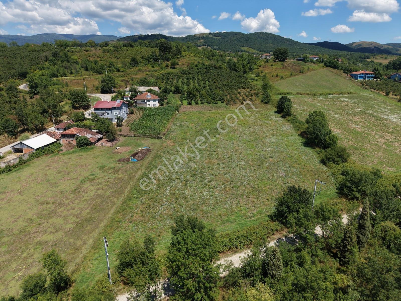 Emlakevim - Yeşilvadi Mah. De Satılık 2450 M2 İmarlı Arsa !! — fotoğraf 33