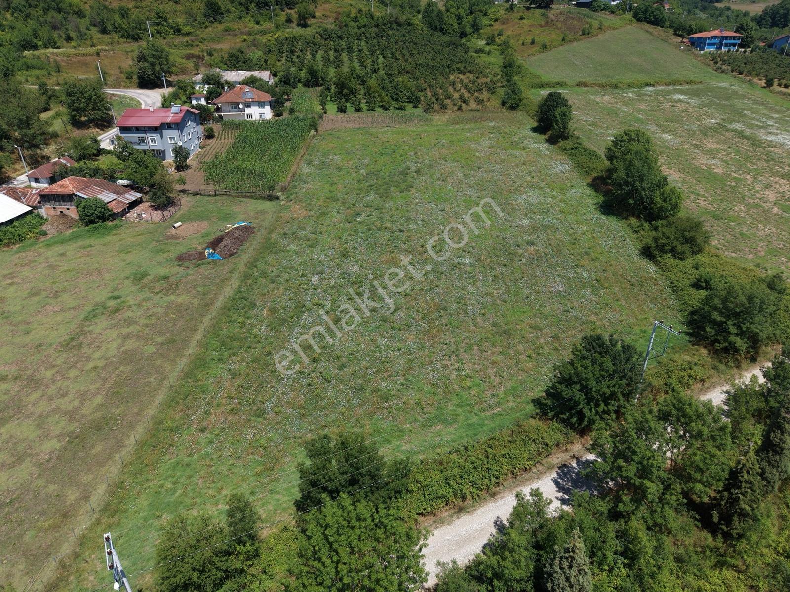 Emlakevim - Yeşilvadi Mah. De Satılık 2450 M2 İmarlı Arsa !! — fotoğraf 34