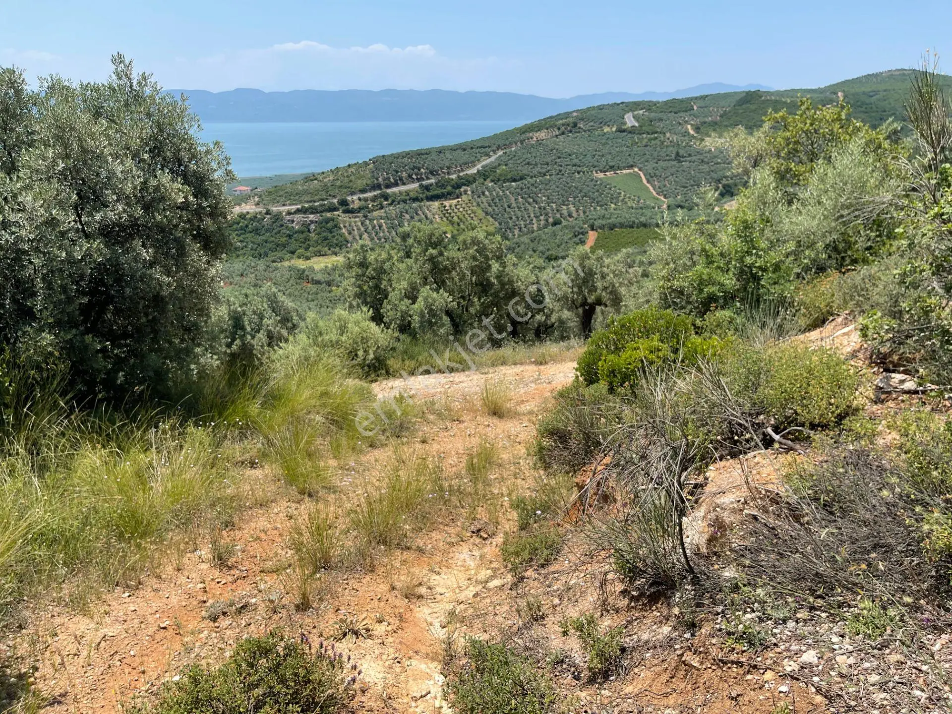 İznik Yürükler'de Panoramik Göl Manzaralı Satılık Zeytinlik — fotoğraf 17