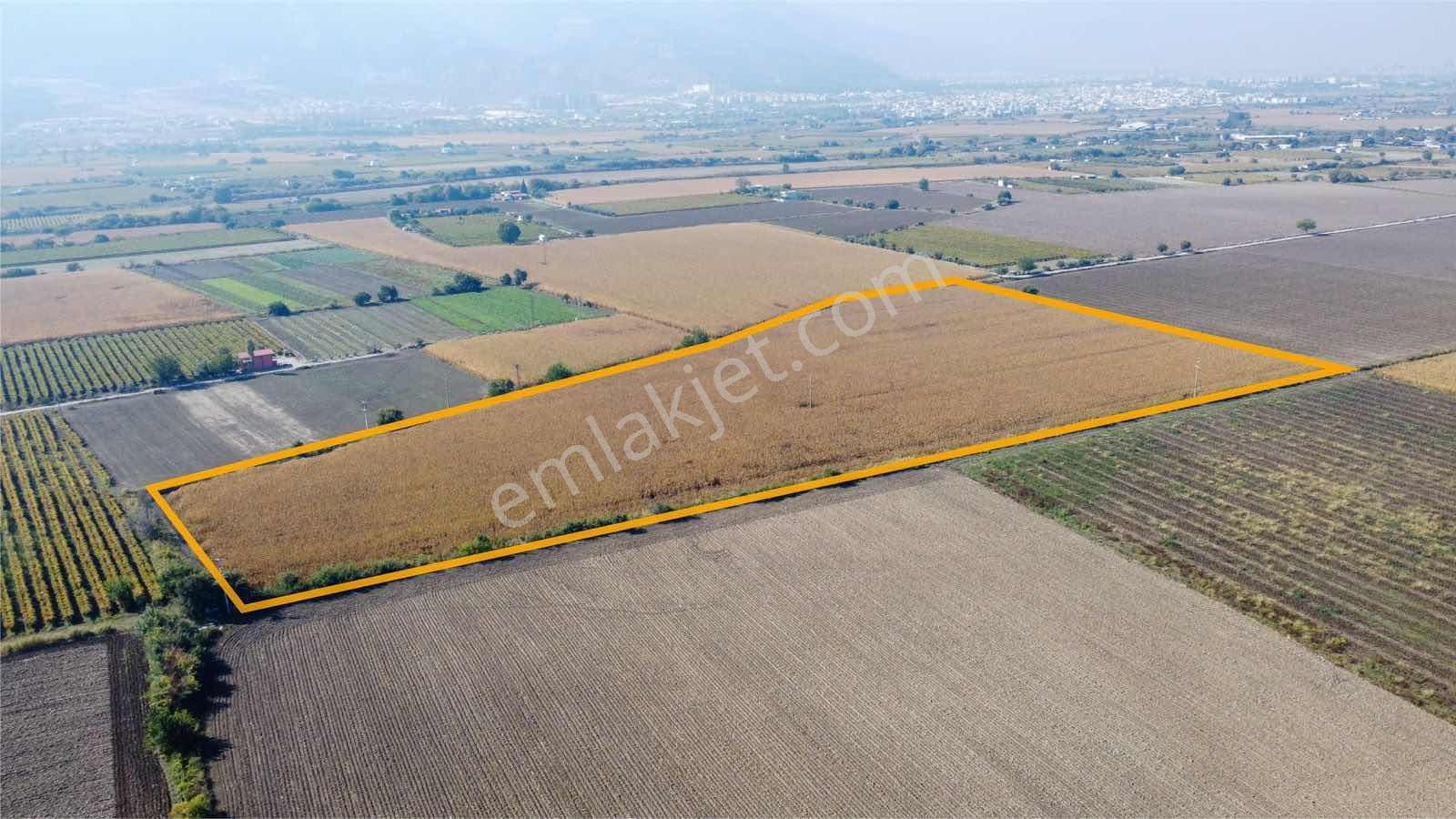 Özgün Gm'Den - Yeni Harmandalı - 54.500 M² Satılık Tarla