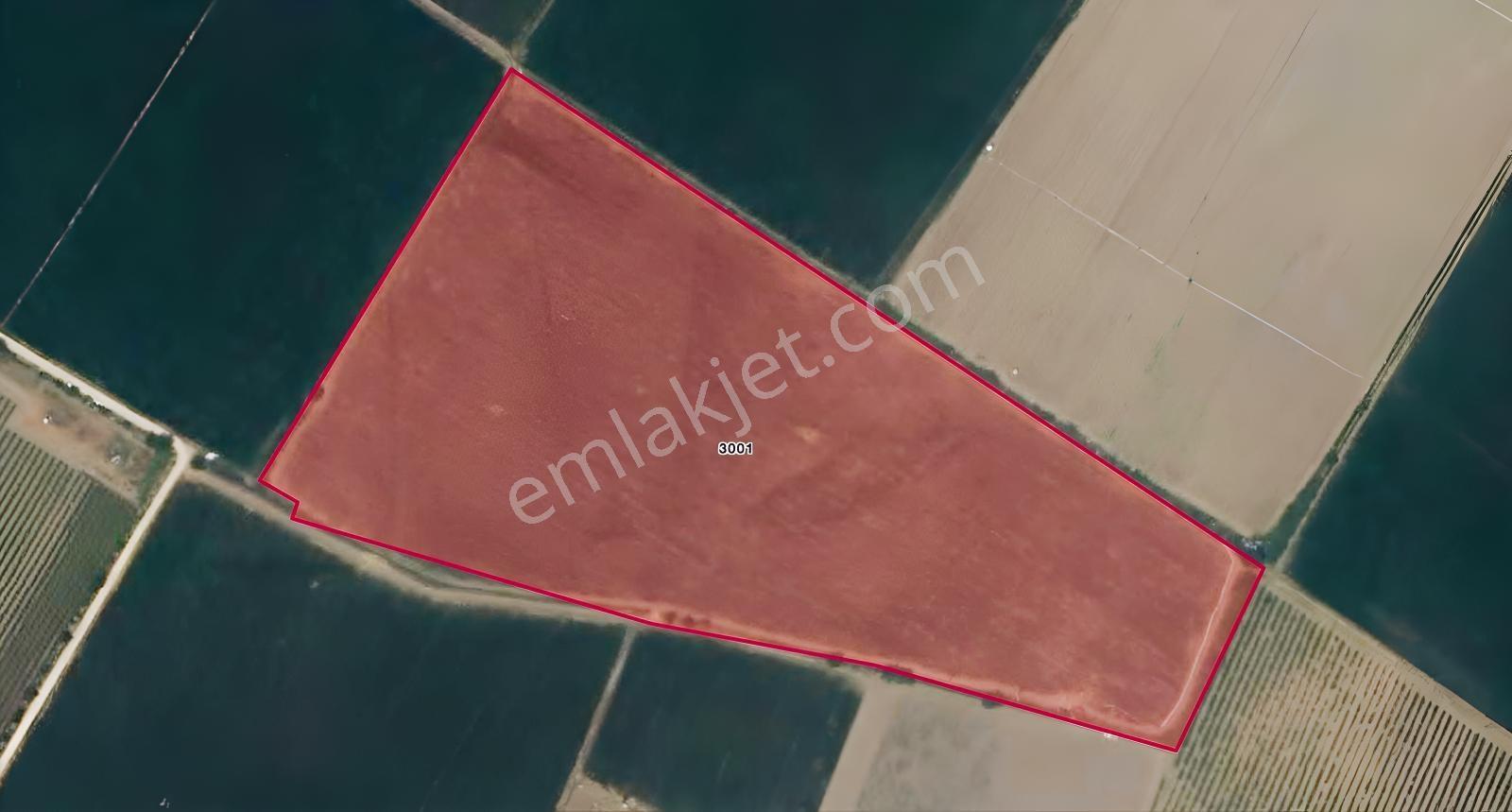 Özgün Gm'den - Yeni Harmandalı - 54.500 M² Satılık Tarla — fotoğraf 2