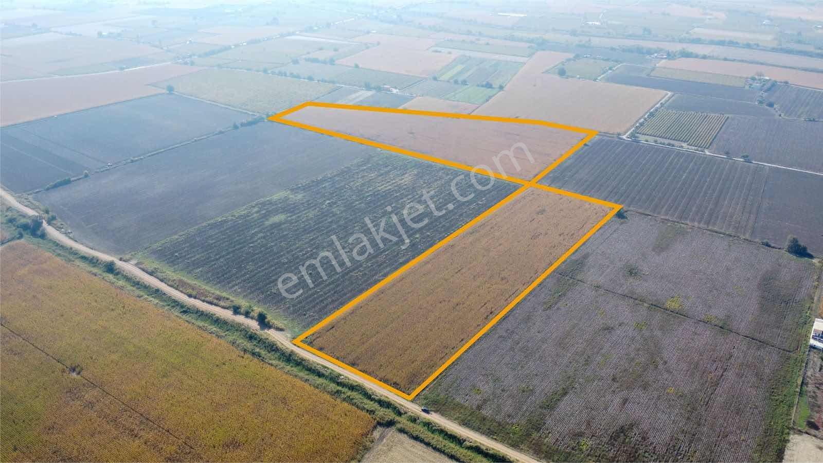 Özgün Gm'den - Yeni Harmandalı - 54.500 M² Satılık Tarla — fotoğraf 5