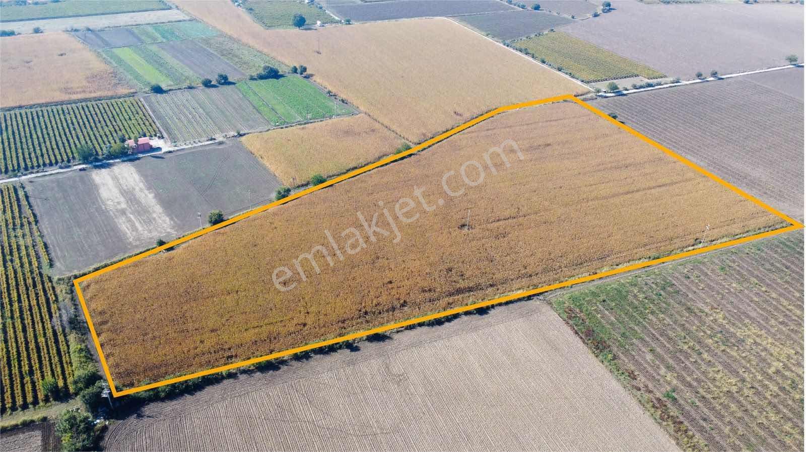 Özgün Gm'den - Yeni Harmandalı - 54.500 M² Satılık Tarla — fotoğraf 8