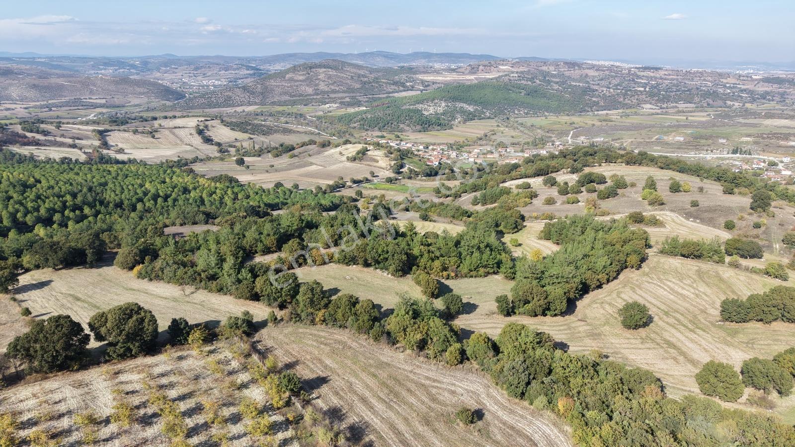 Satılık Verimli Ceviz Bahçesi Yatırımlık Fırsat — fotoğraf 2