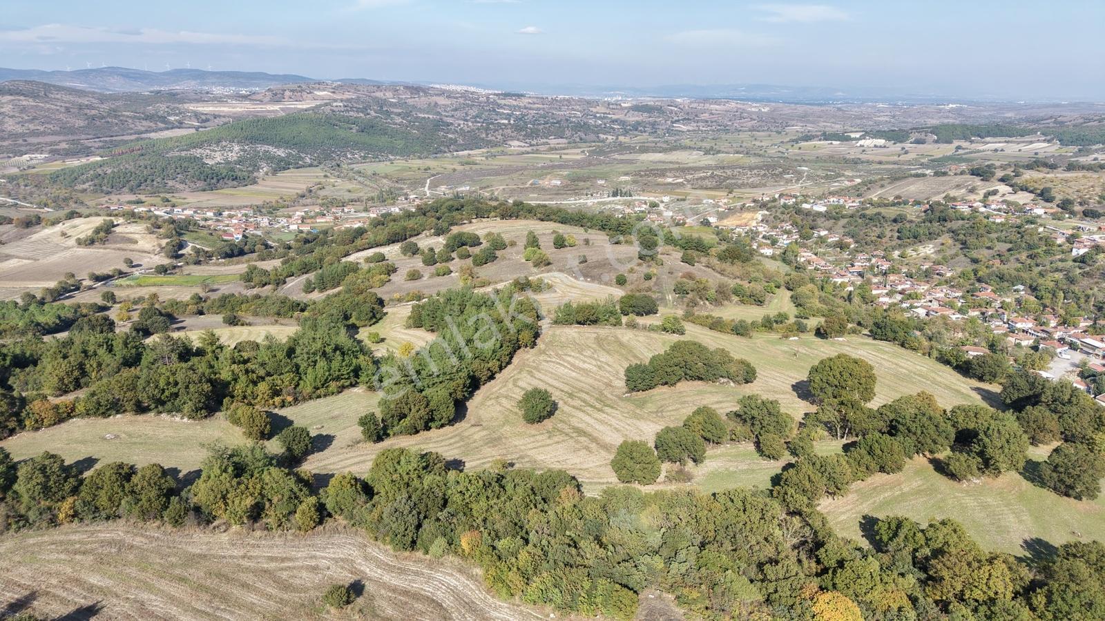 Satılık Verimli Ceviz Bahçesi Yatırımlık Fırsat — fotoğraf 3