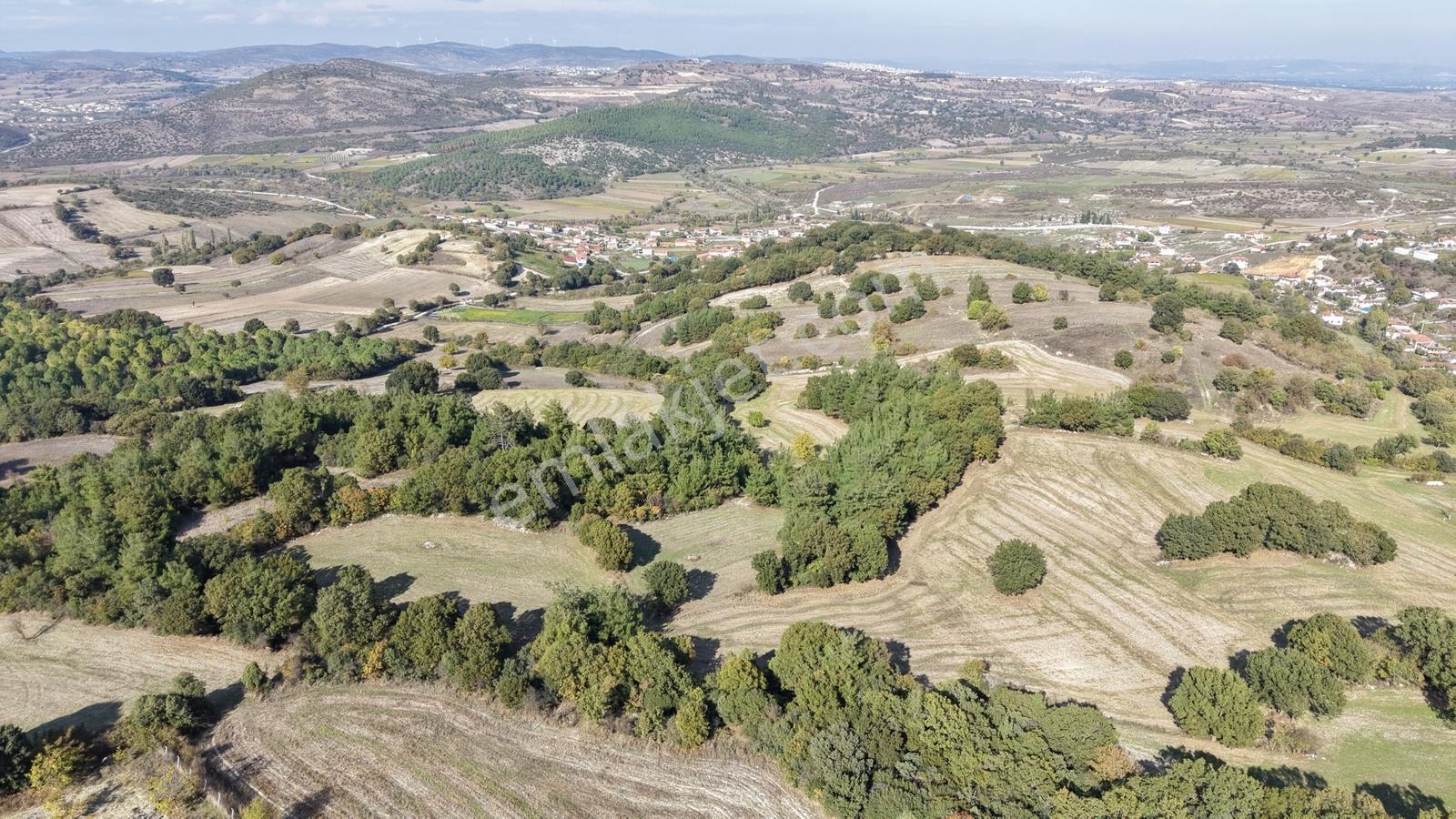 Satılık Verimli Ceviz Bahçesi Yatırımlık Fırsat — fotoğraf 4