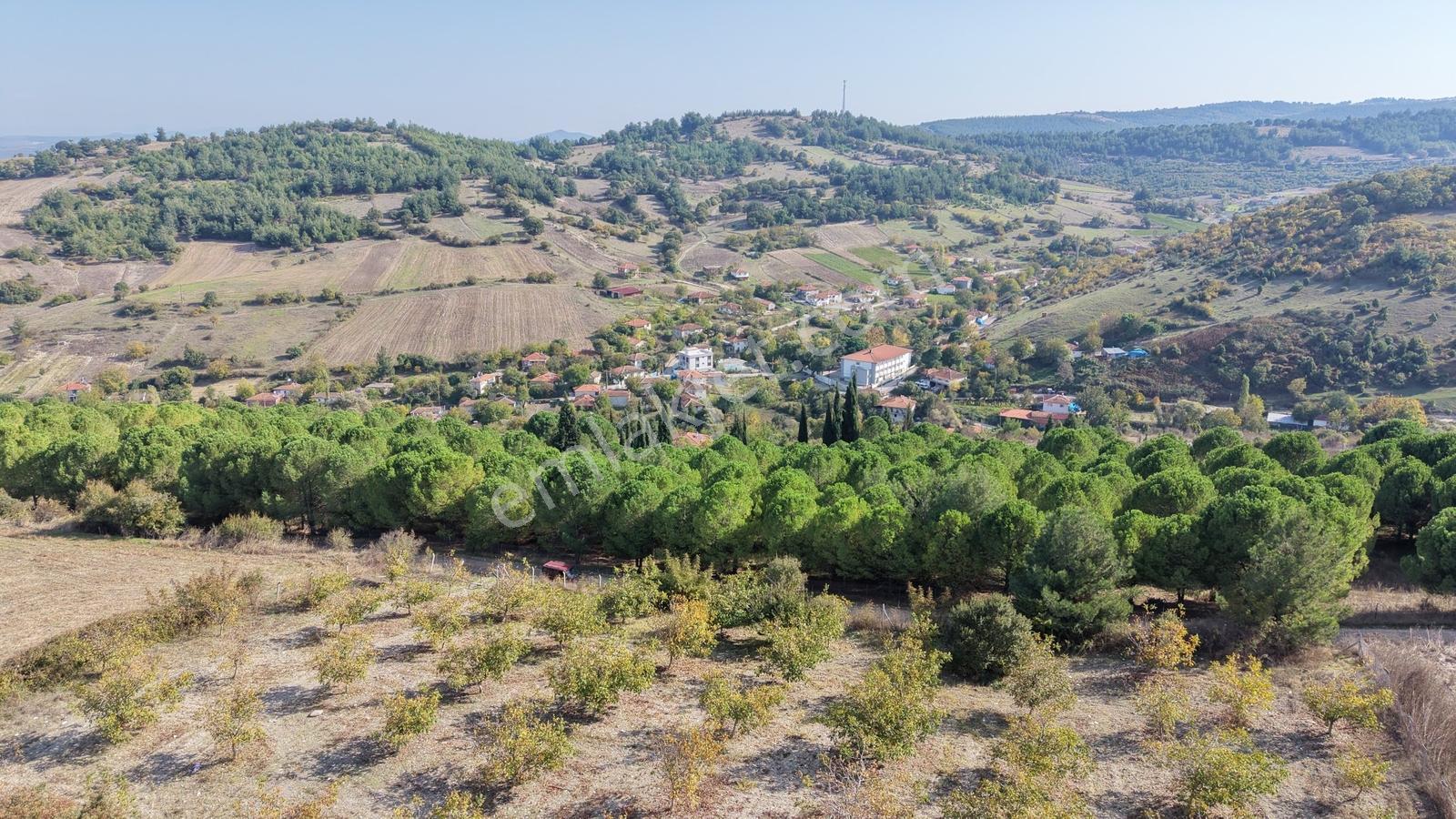 Satılık Verimli Ceviz Bahçesi Yatırımlık Fırsat — fotoğraf 22