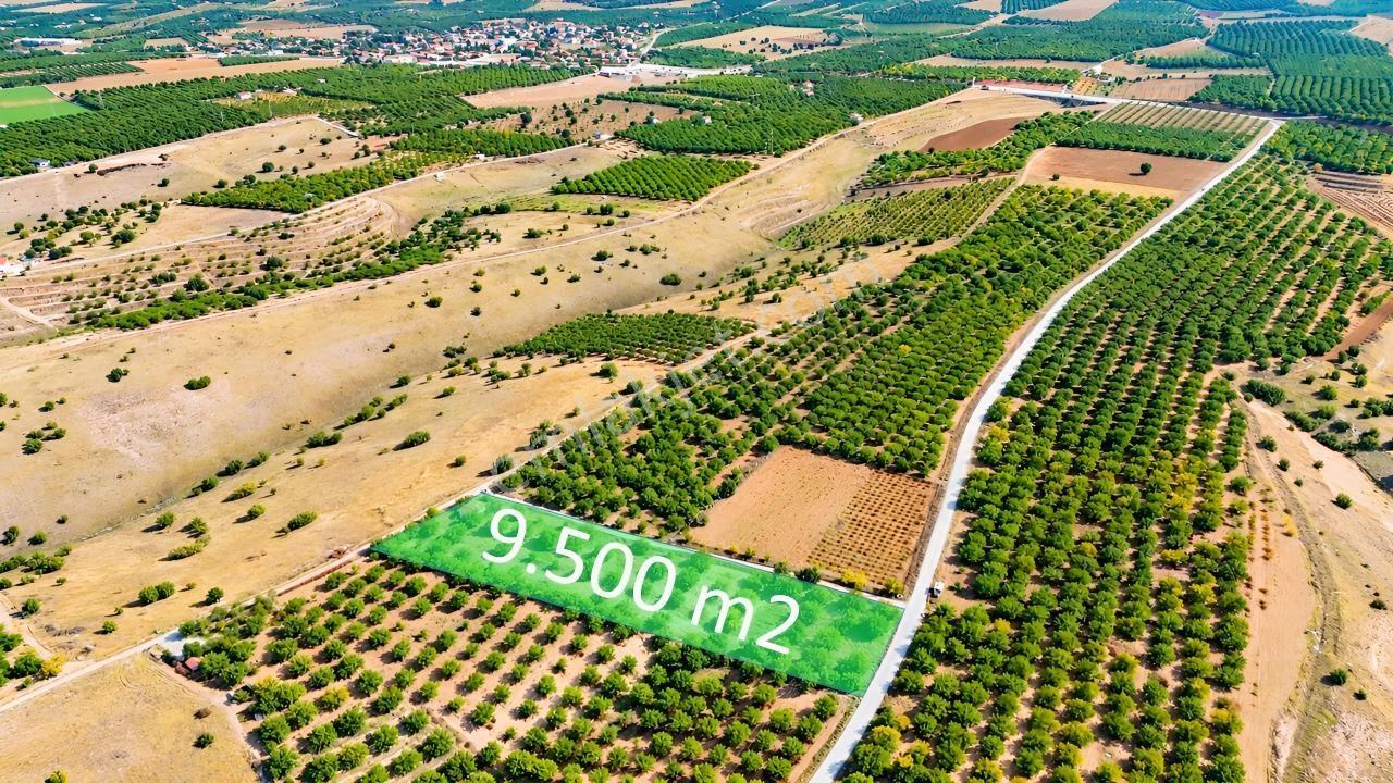 Canbay Yapı'Dan Örnek Köyde 9.000 M2 Satılık Tarla Ve 1+1 Ev