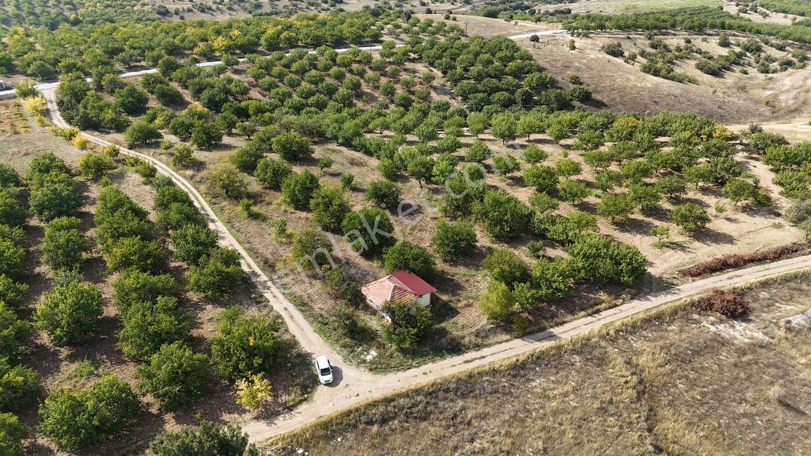 Canbay Yapı'dan Örnek Köyde 9.000 M2 Satılık Tarla Ve 1+1 Ev — fotoğraf 2