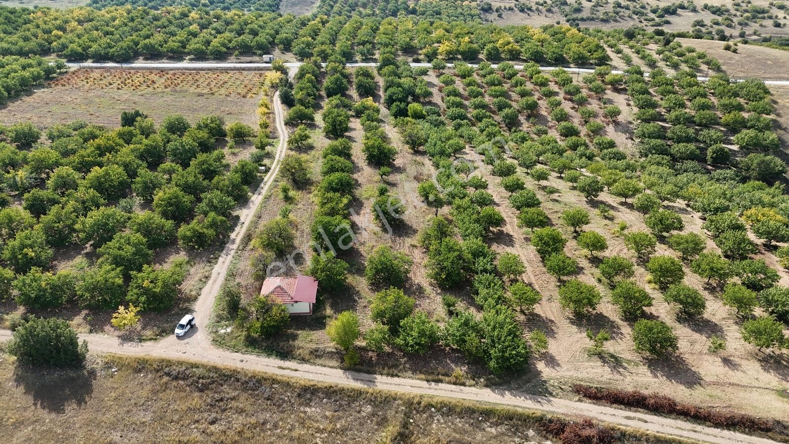 Canbay Yapı'dan Örnek Köyde 9.000 M2 Satılık Tarla Ve 1+1 Ev — fotoğraf 3